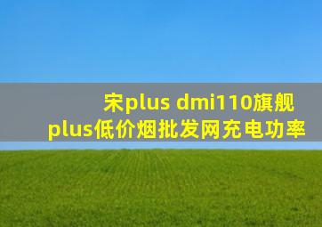 宋plus dmi110旗舰plus(低价烟批发网)充电功率